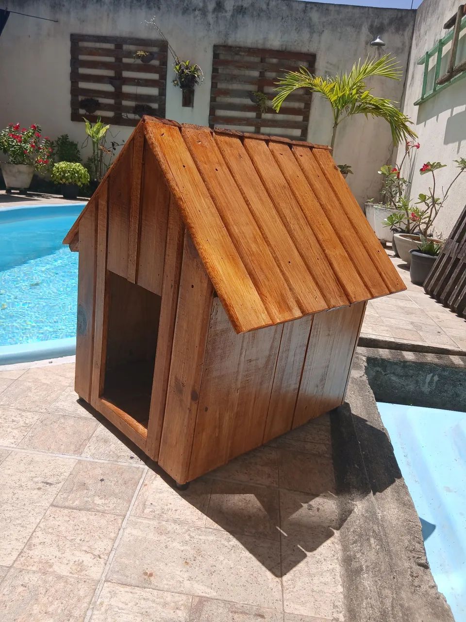 Casa de cachorro 