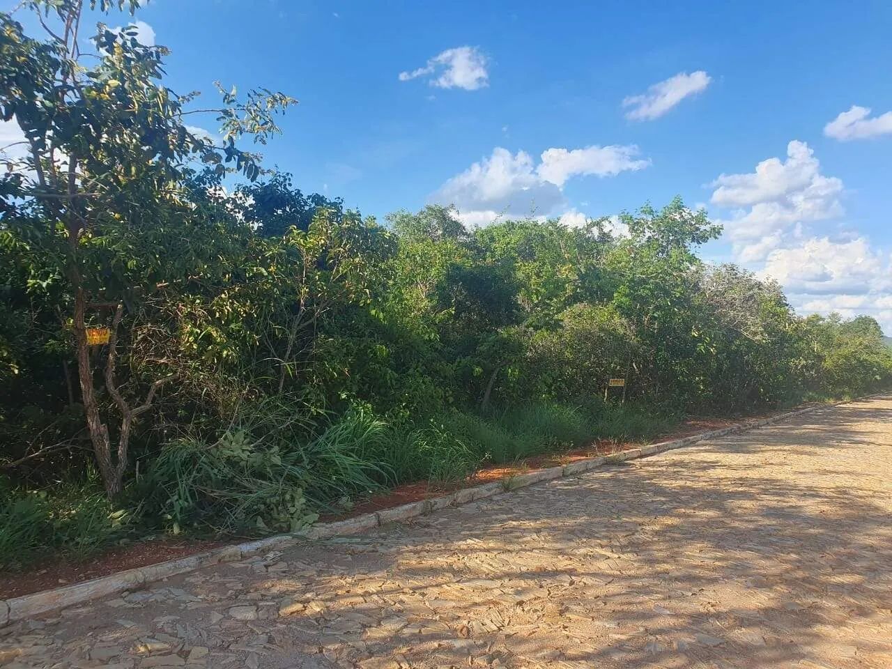 Terreno à venda em Estância do Campo - Foto 2