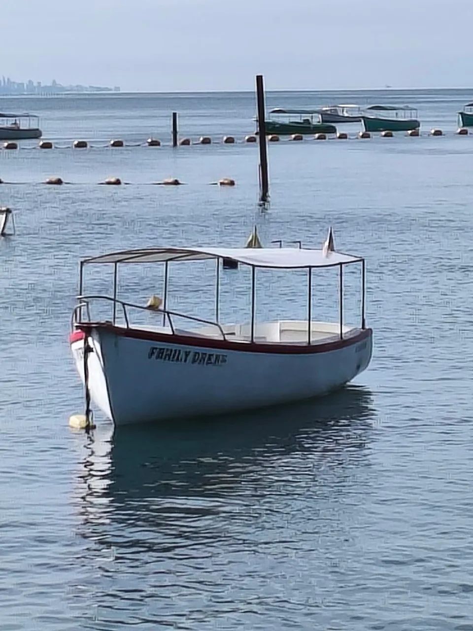 Barco fibra 