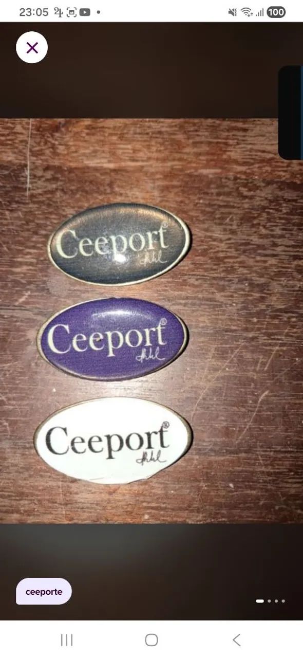 Pin Ceeport novo - Foto 3