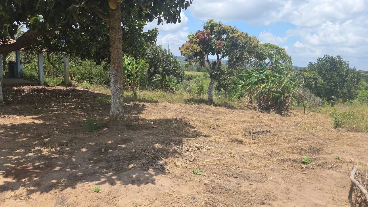 Sitio em Lagoa Seca com casa - Foto 5