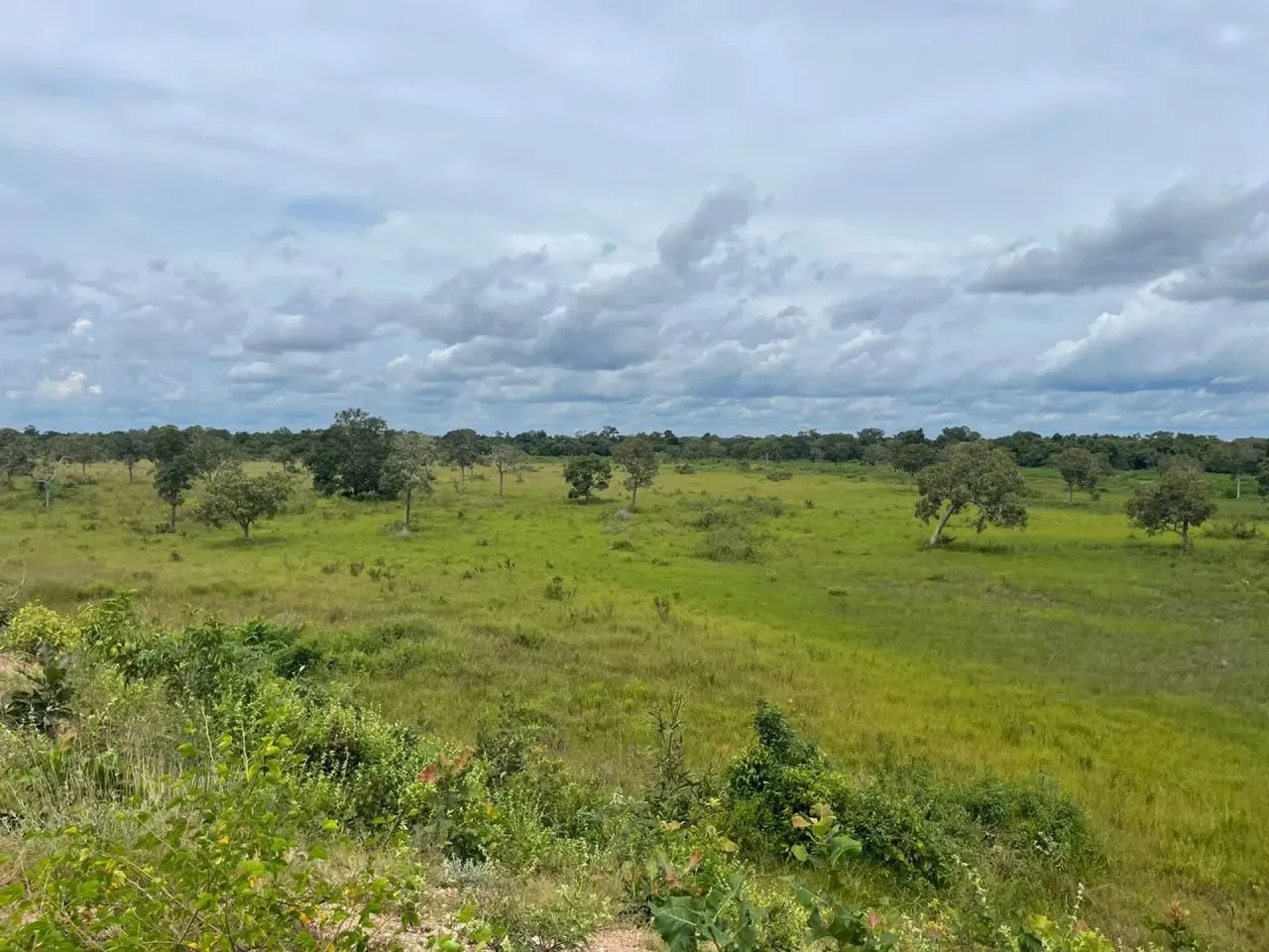 Fazenda de 267 alqueires no  Vale do Araguaia