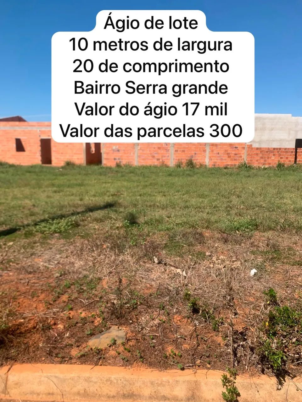 Ágio de lote 