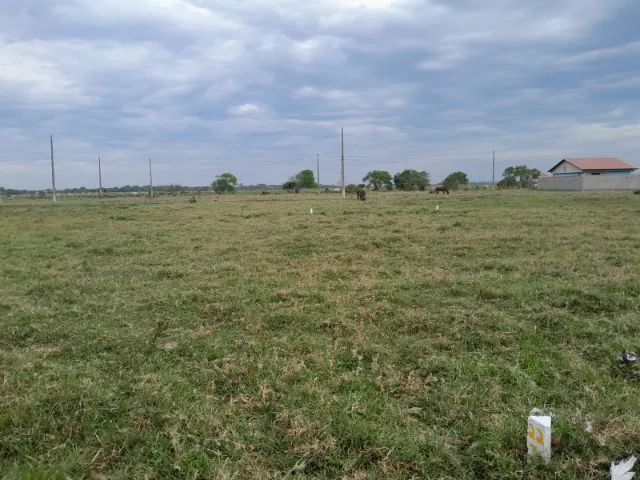 Terreno plano com 202m² - Foto 2