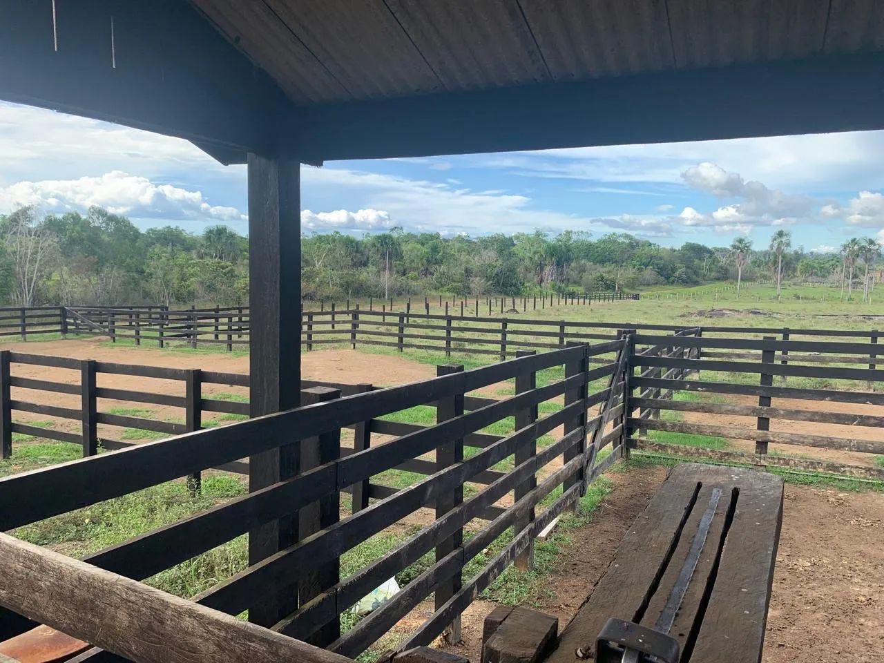 FAZENDA A VENDA EM CAROEBE RR - Foto 5