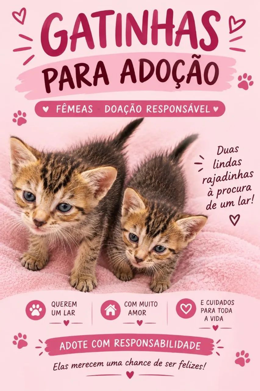2 gatinhas 