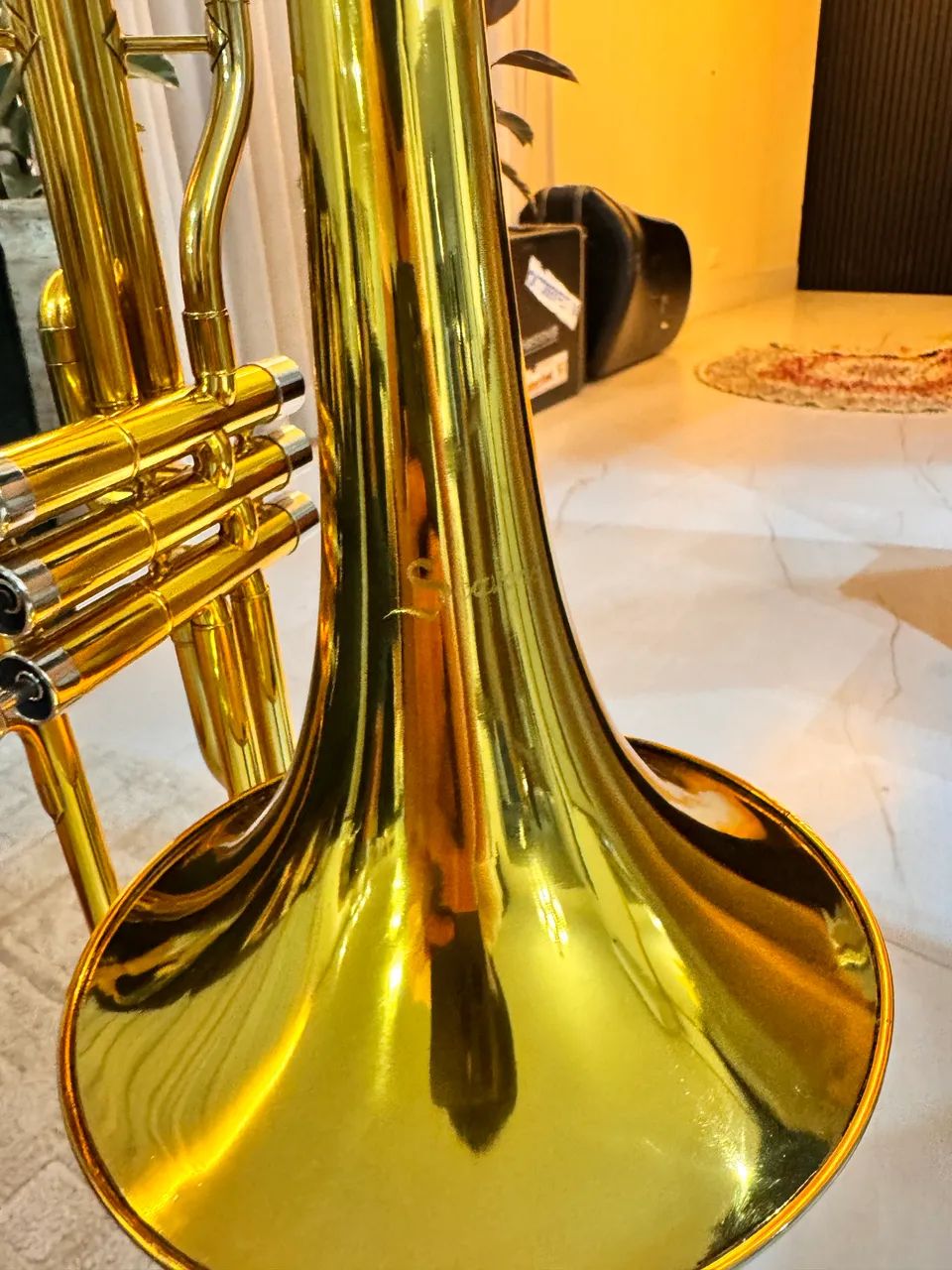 Trombone Scavone - Foto 3