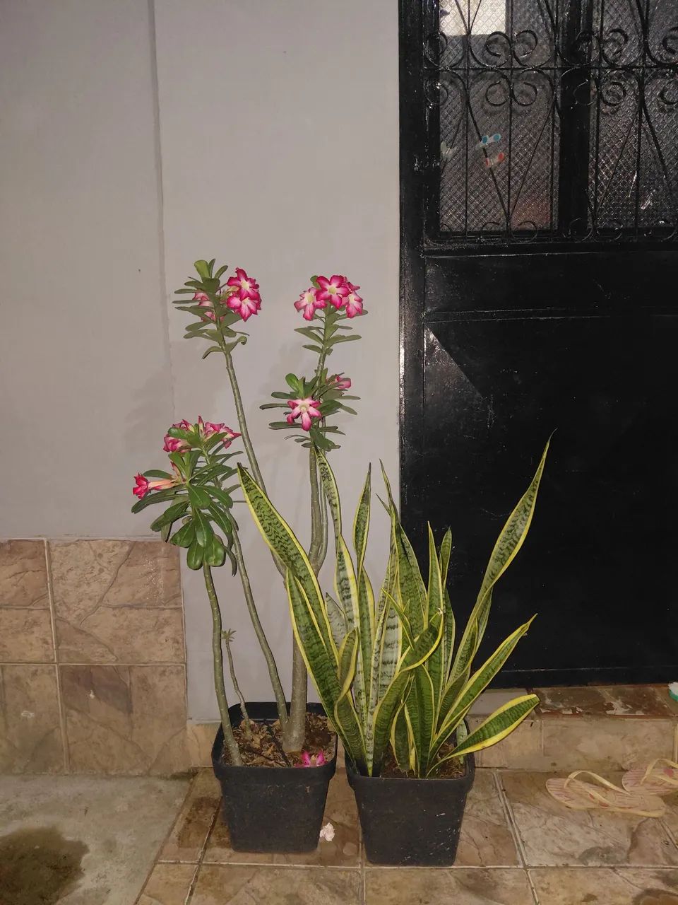 Vende-se  - Foto 4