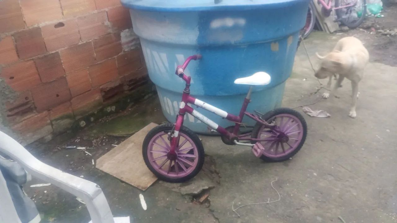 Bicicleta 
