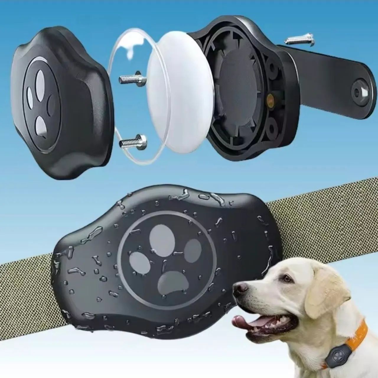 Suporte para tag MiTag - IOS para pet