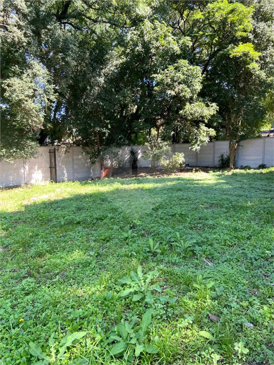 Terreno à venda em Vila madalena - SP - Foto 2