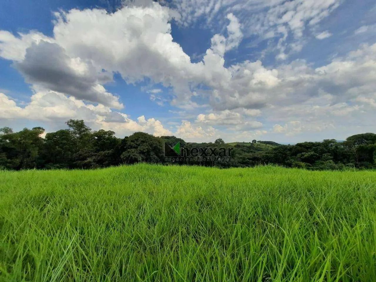 Área com 20.000 metros - Foto 2