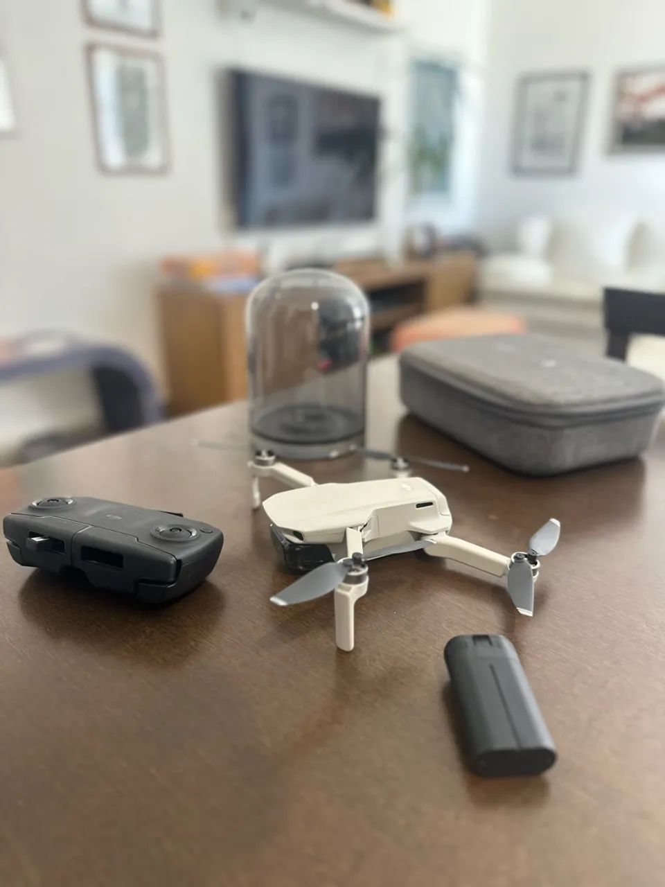 DJI Magic Mini