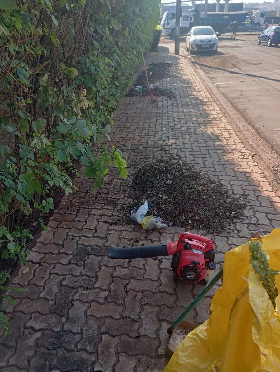 Limpeza de terreno e colocação de pizo - Foto 4