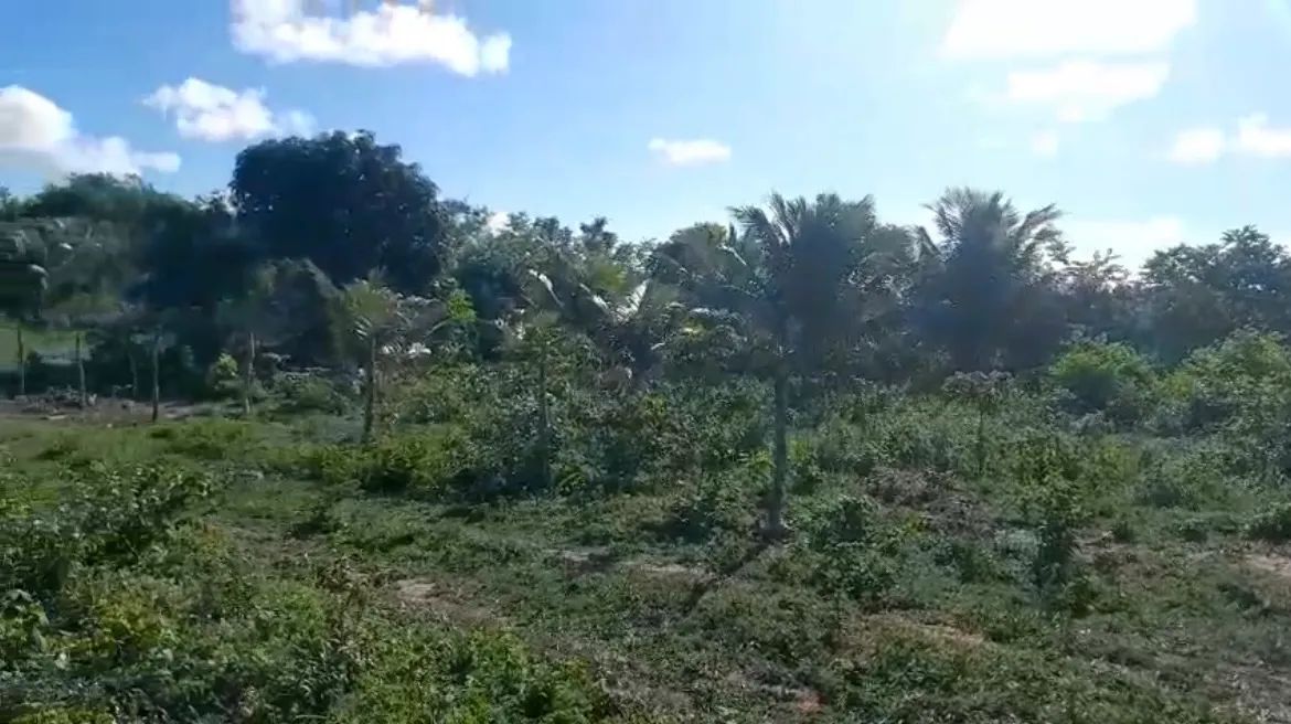 Vende-se terreno no Oitizeiro - Nísia Floresta/RN - Foto 2