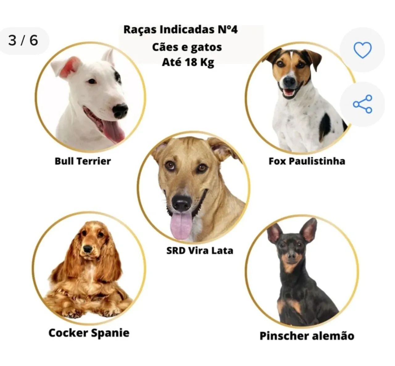 Caixa de Transporte Pet Resistente Porta Guilhotina n°4  - Foto 3