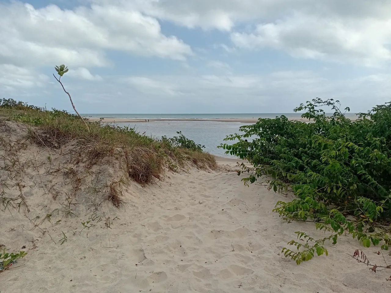 Terreno na praia - Foto 5