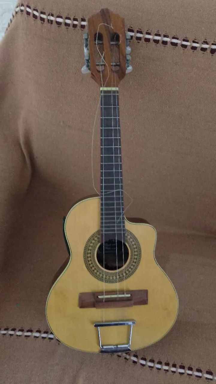 Cavaquinho profissional Giannini