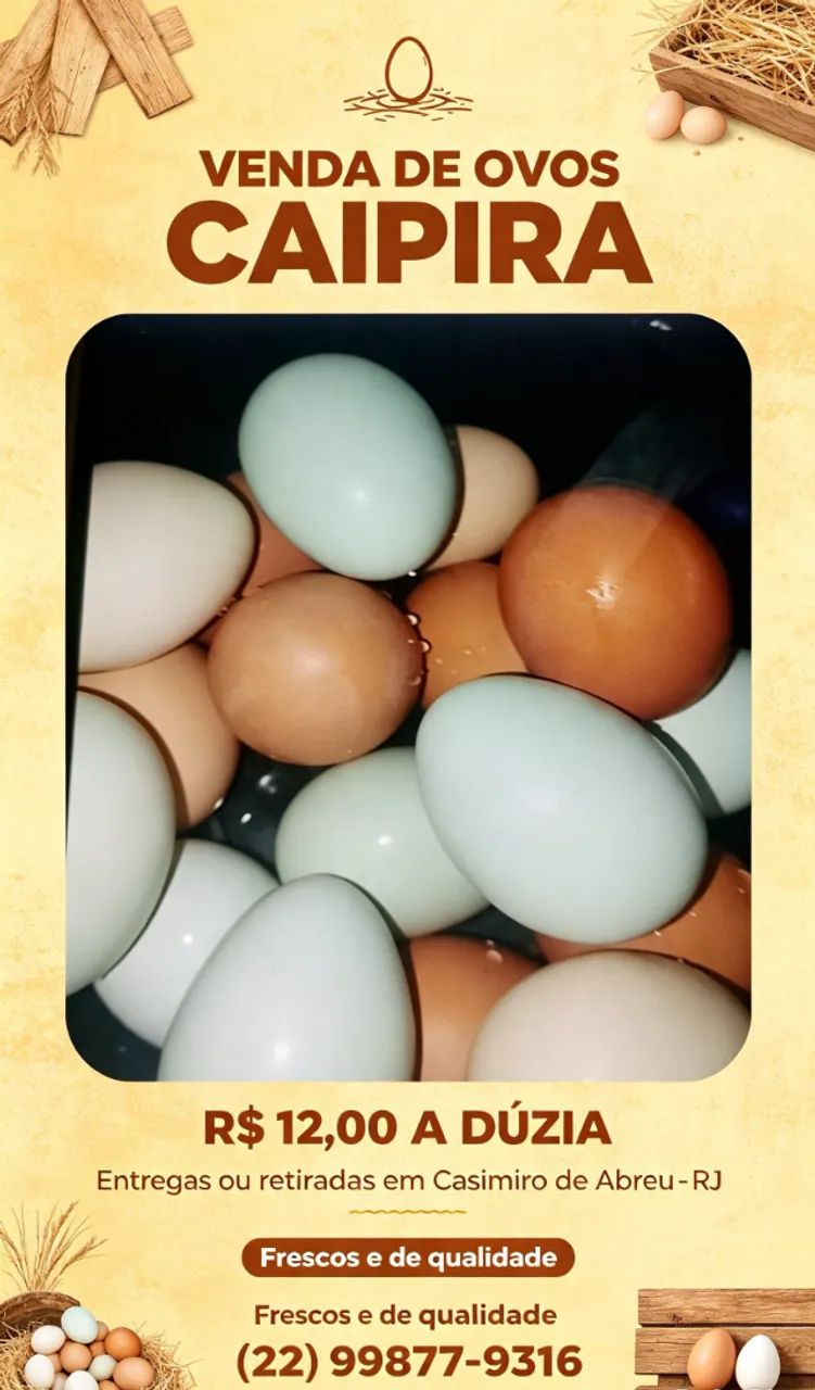 Ovos de galinha caipira 