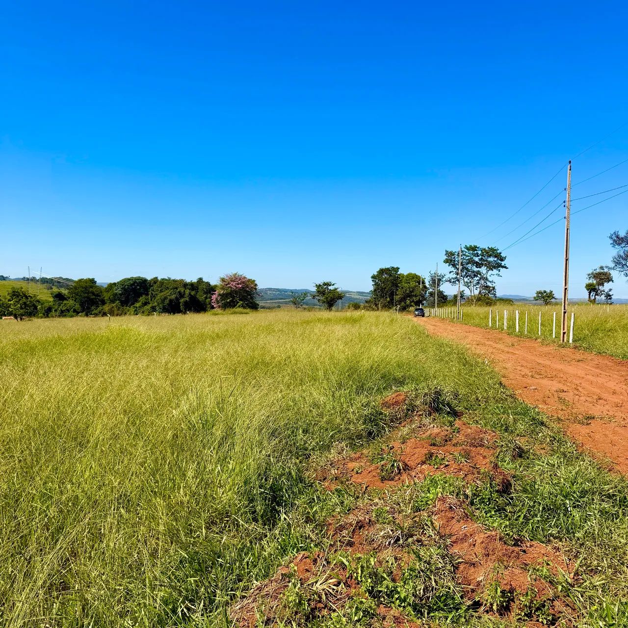 Chácara de 1.000m2 e 2.000m2 à 32 km de Goiânia!  - Foto 4