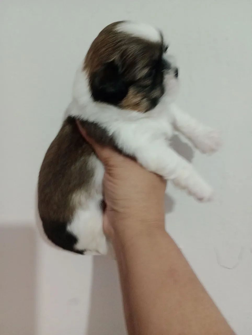 Machinhos mini  - Foto 4