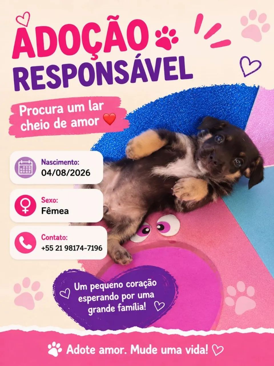 Adoção  - Foto 2