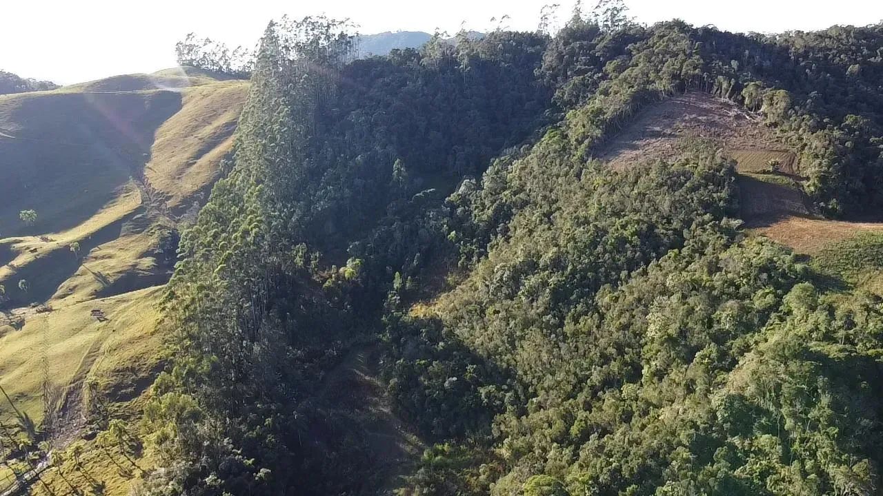 Sitio com escritura publica em Águas Mornas - SC - Foto 3