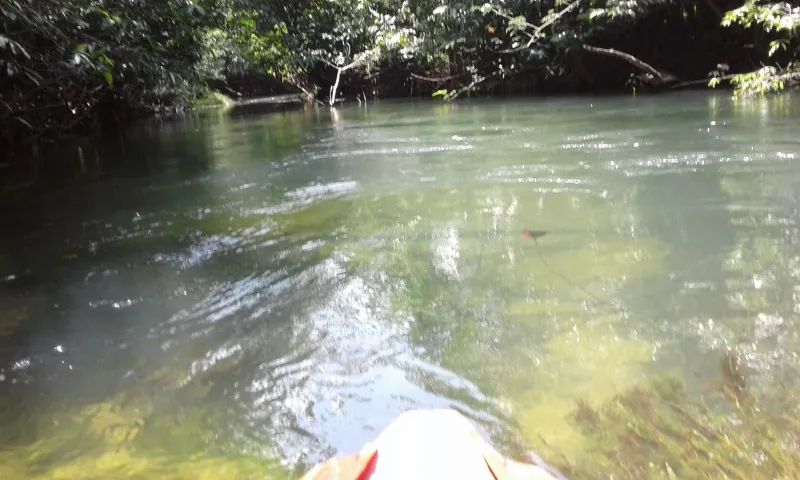 Sitio - AP 070 - Corre Agua. - Foto 3