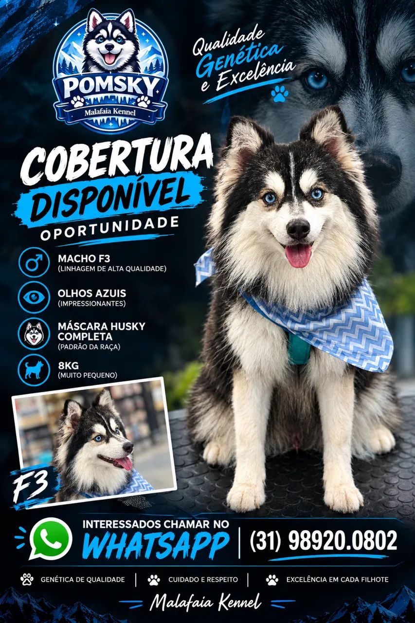 Cobertura Pomsky - Foto 2