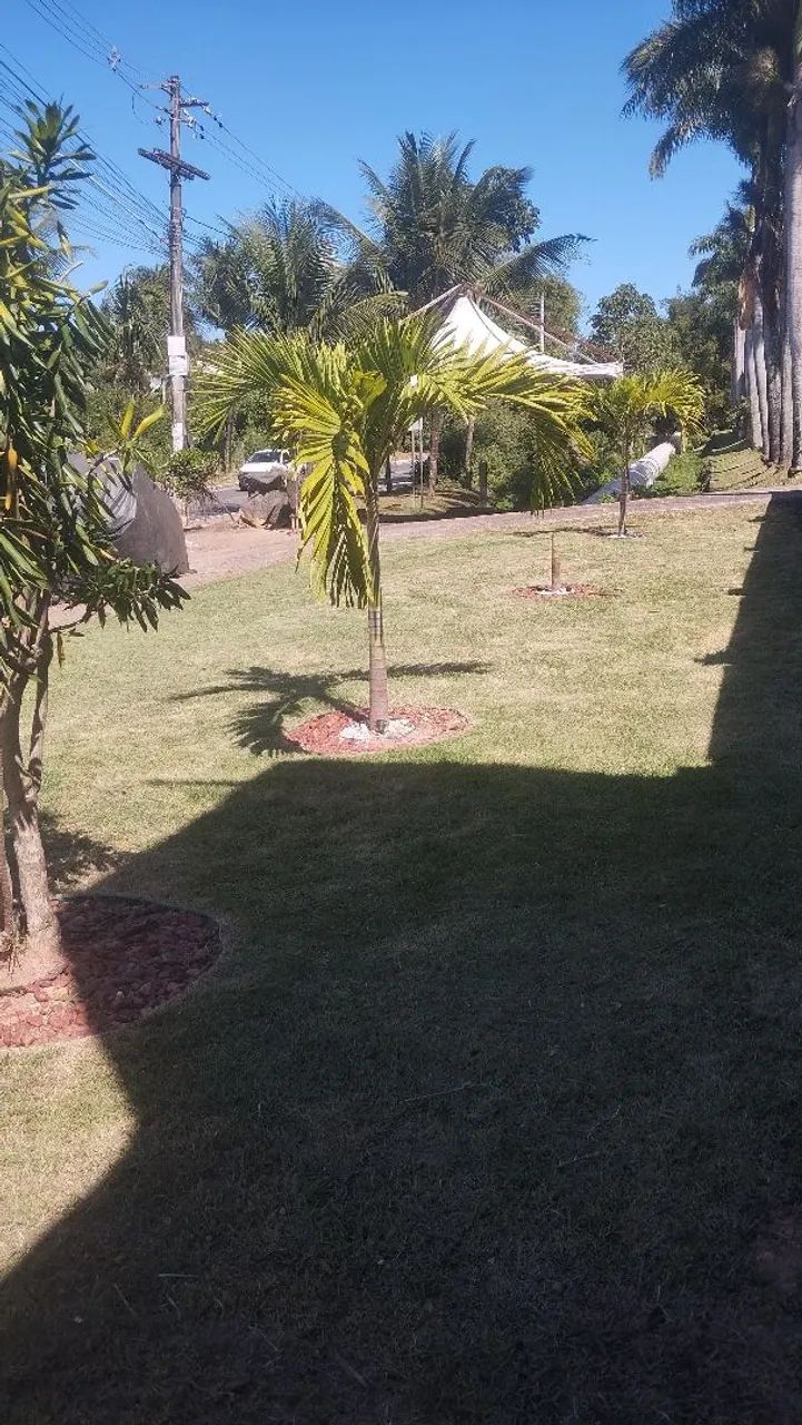Wt serviços jardinagem é roçagem  - Foto 5