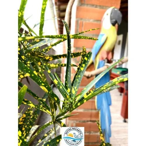   (Leia com atenção)Arendamento pousada ou vendo com 9 suites.  - Foto 4