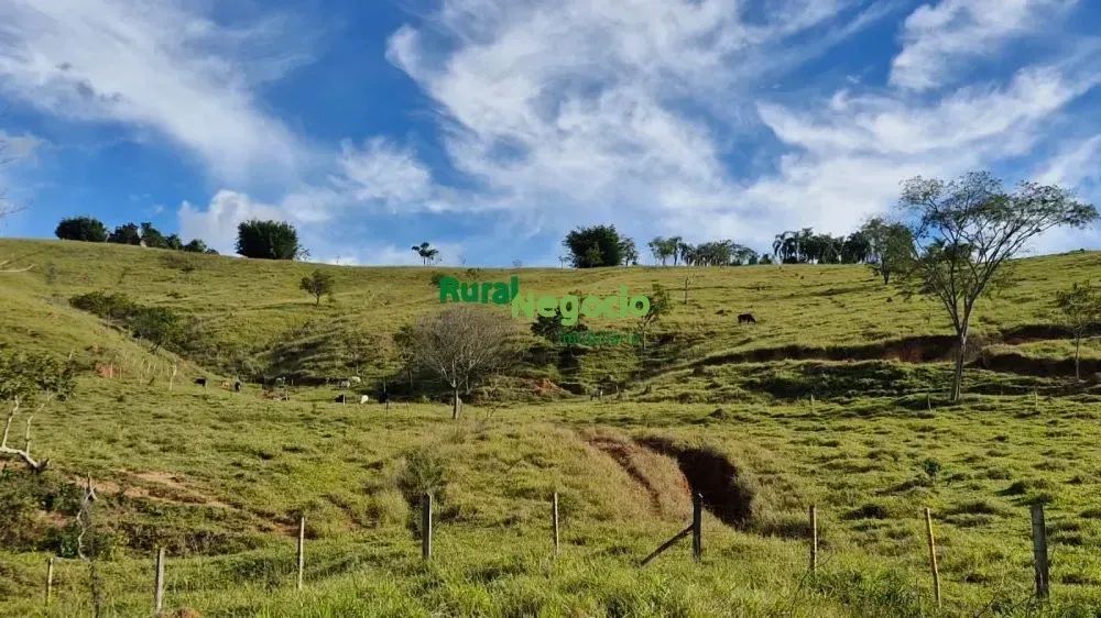 SÍTIO FORMADO COM LAGOS E PASTO Á VENDA EM APARECIDA-SP - Foto 4