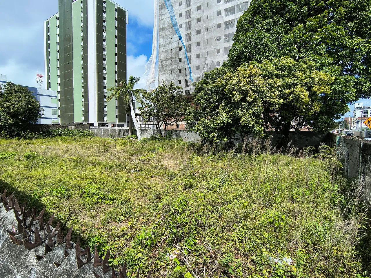 Terreno na principal  - Foto 4