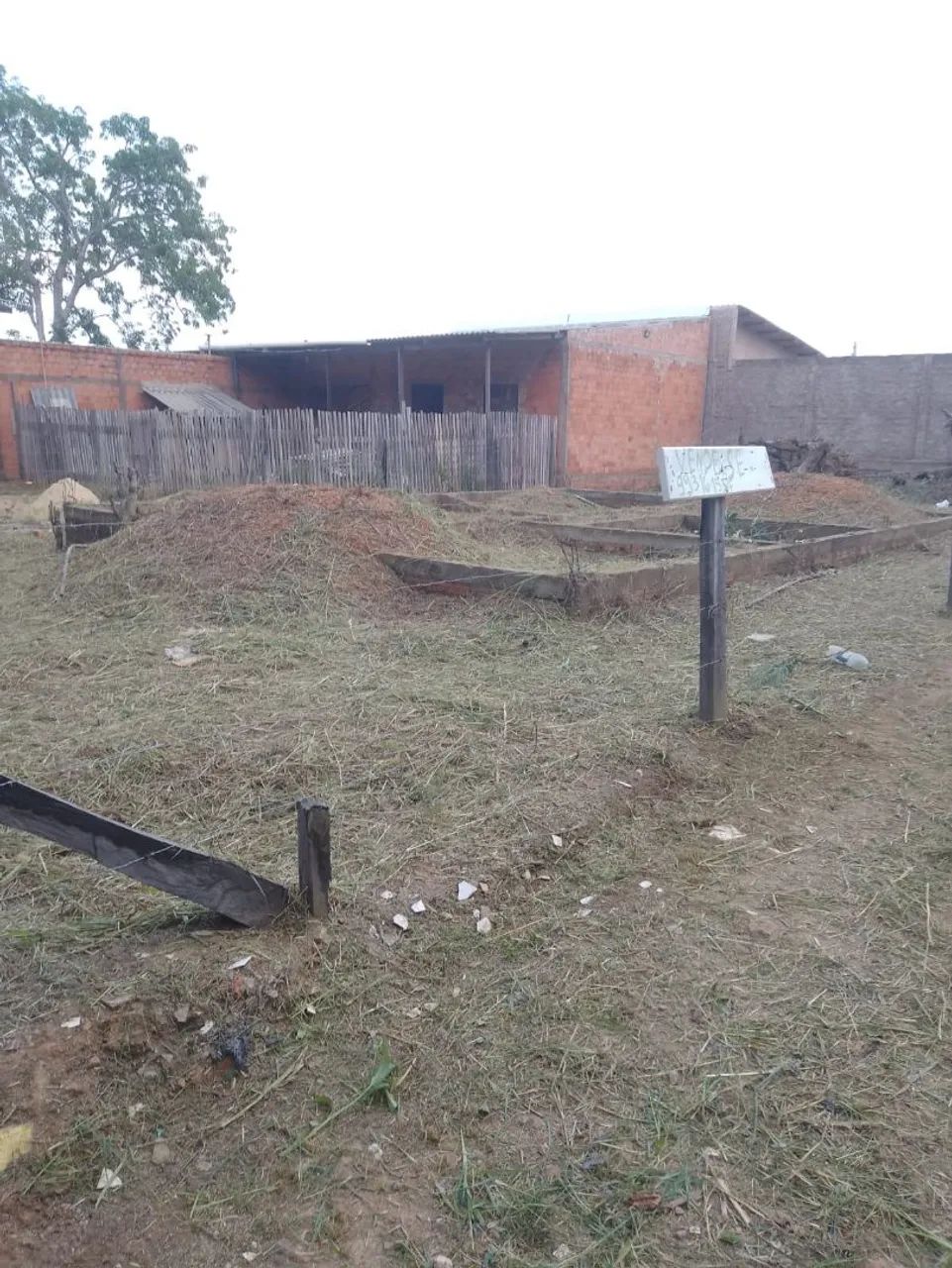 Terreno  - Foto 3