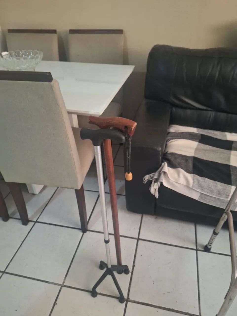 Kit de Mobilidade - Idosos - Foto 2