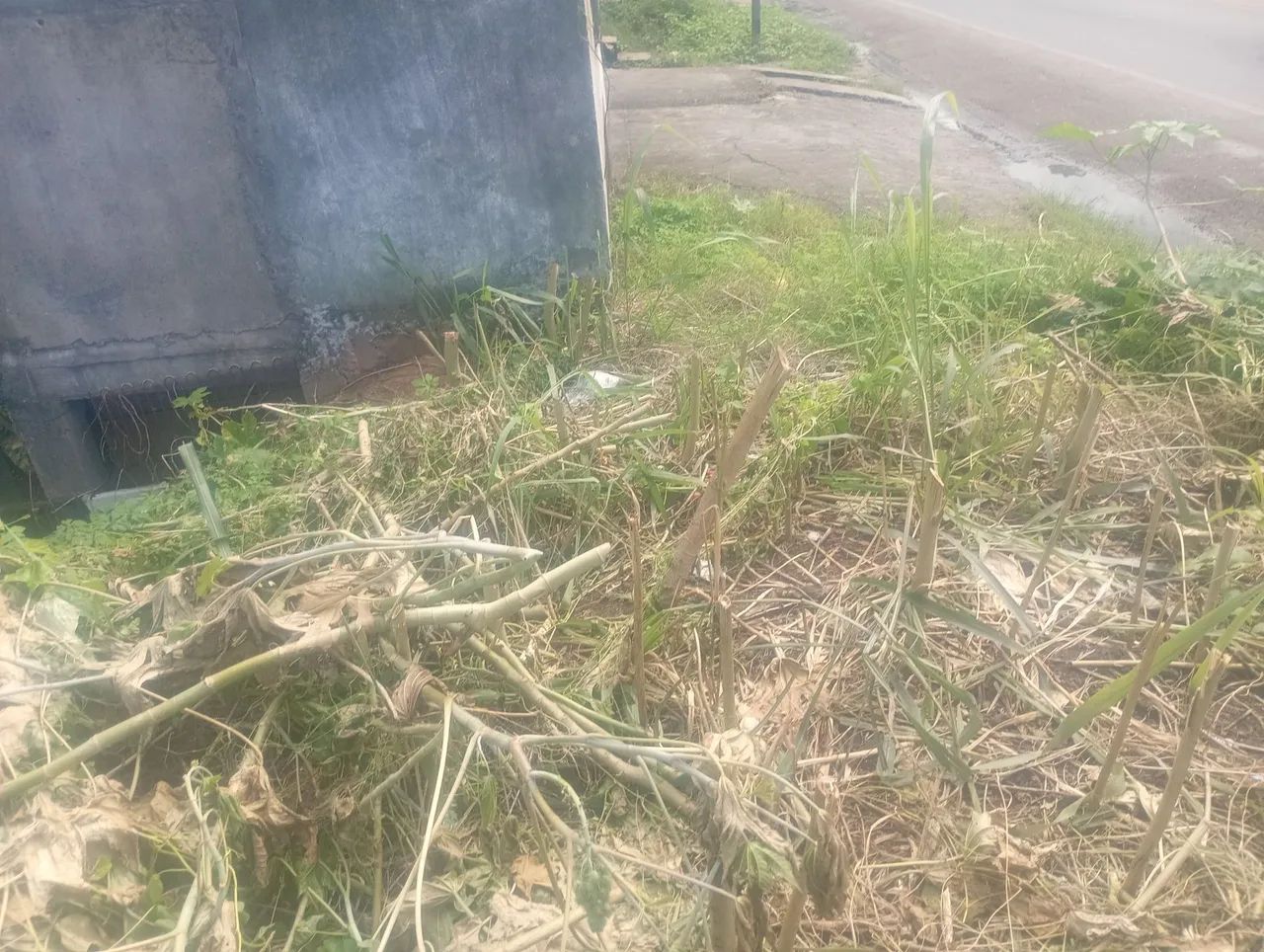 Terreno em Santomé de Paripe - Foto 2