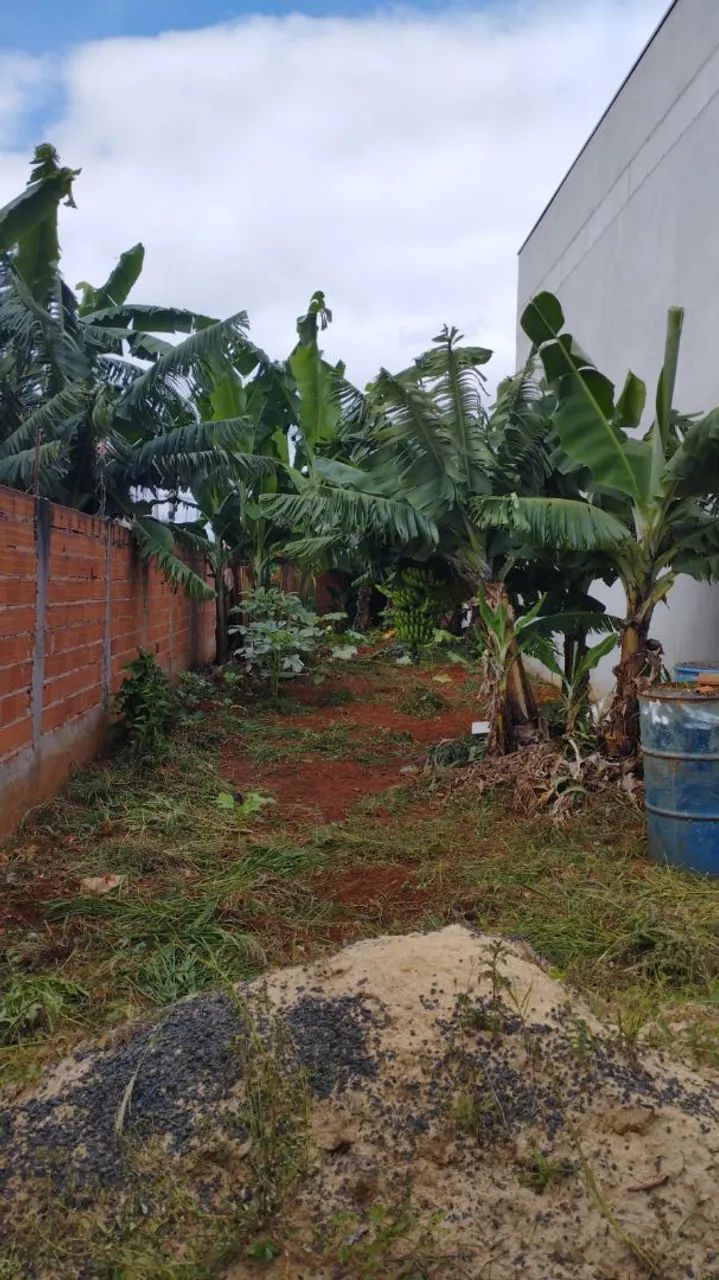 Terreno Cardeal  - Foto 2