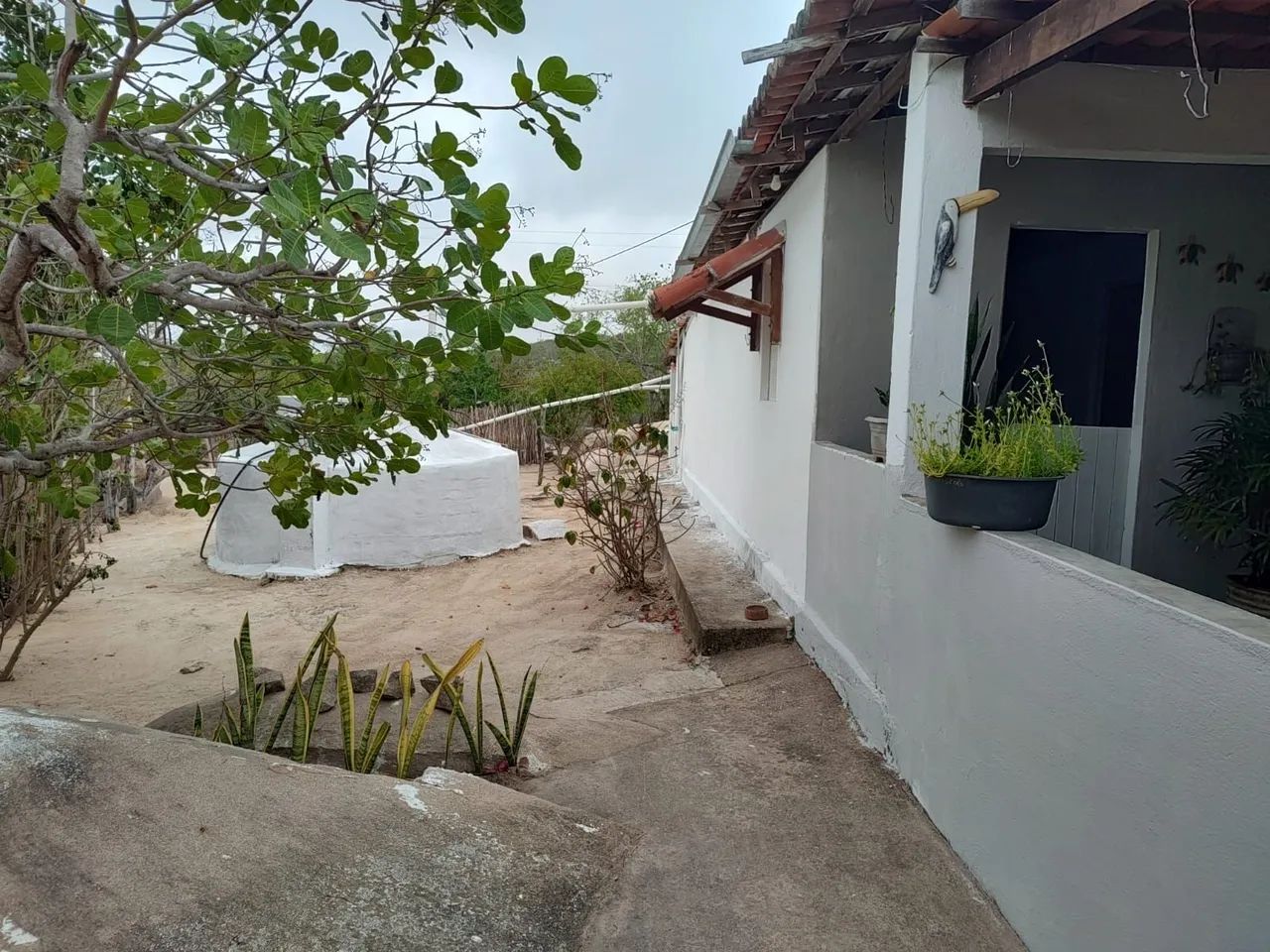 Sitio em Serra de São Bento RN - Foto 2