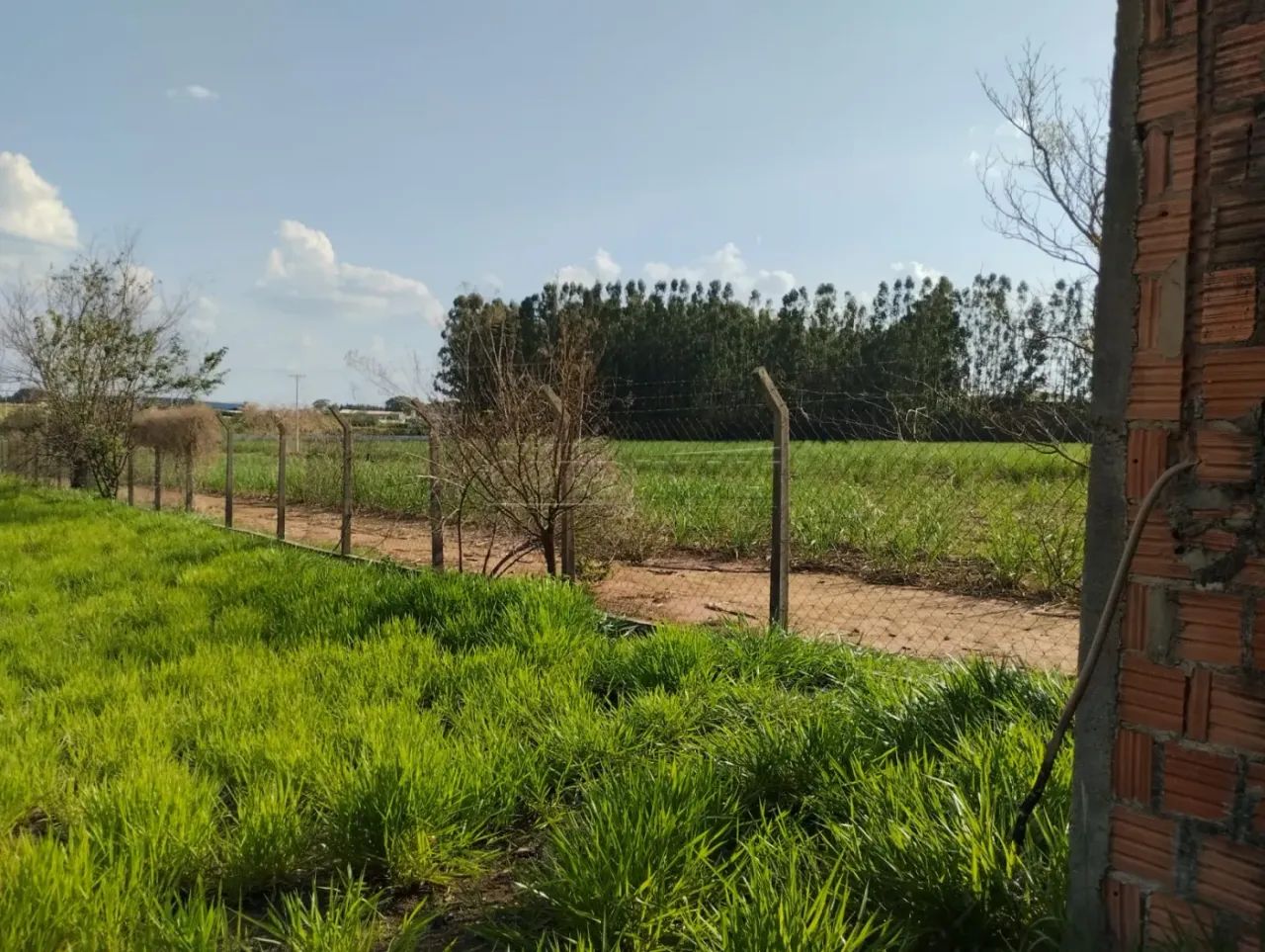Rural Área em Ibaté - Foto 5