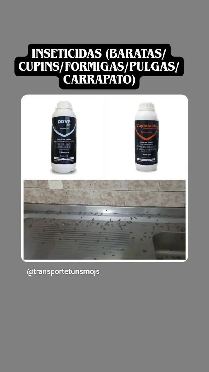 Controle de pragas urbanas 