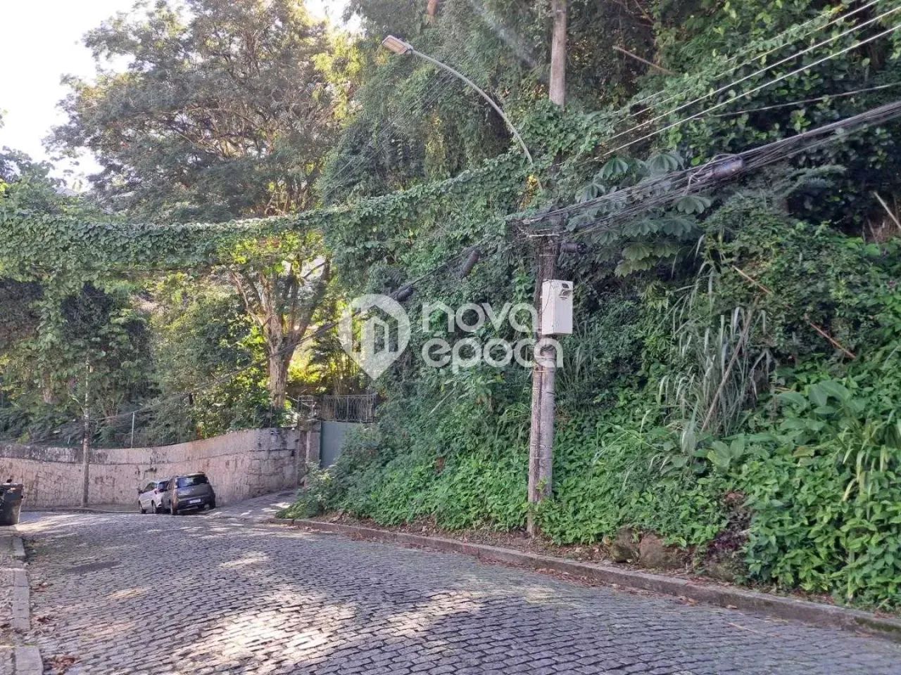 Laranjeiras | Terreno - Foto 4