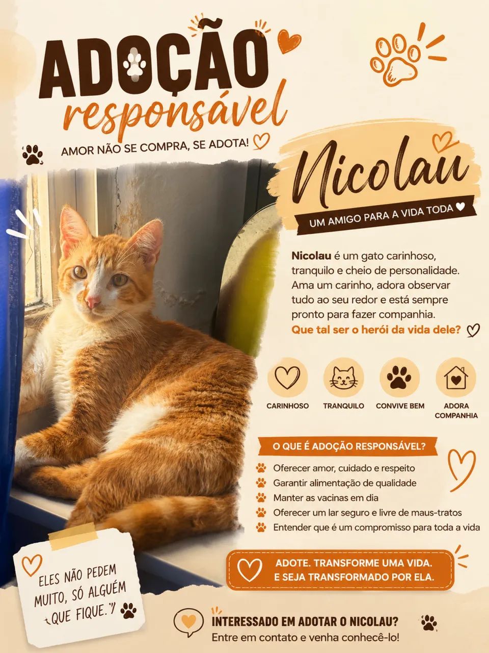 Adocao de 4 gatos lindos e doceis - Foto 4