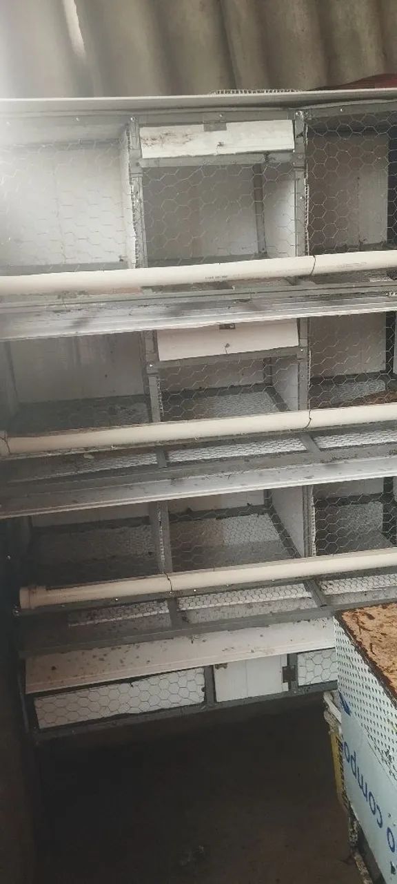 Utilidades 65203908071809120