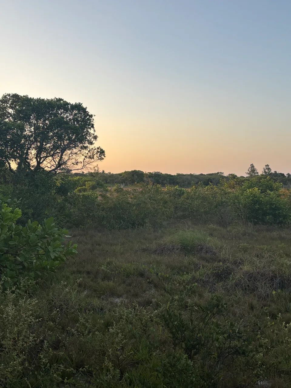 Terreno a venda - Foto 4