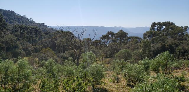 Sitio em Urubici/ chácara em Urubici /terra em Urubici - Foto 2