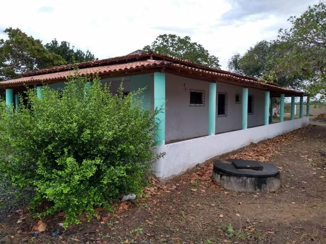 Sítio - Foto 4