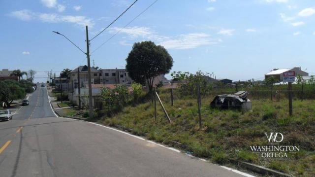 Terreno à venda, 426 m² por r$ 234.300,00 - iguaçu - araucária/pr - Foto 7