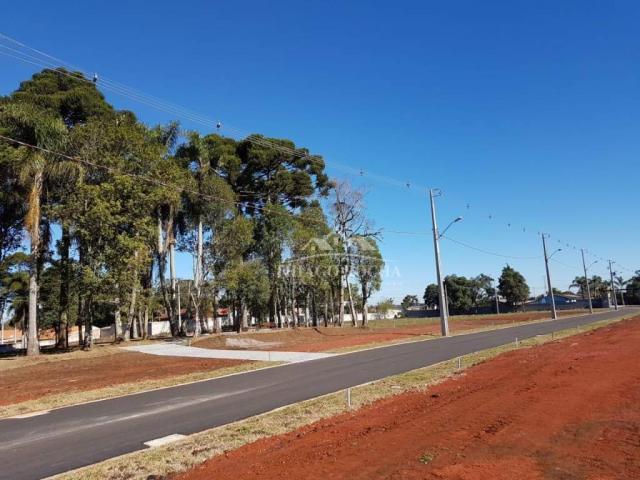 Terreno em condomínio fechado, 125m² exclusivos, área verde, a partir de r$105 mil reais - Foto 10