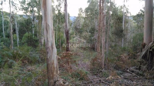 Terreno à venda, , invernador - urubici/sc - Foto 13