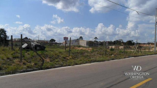 Terreno à venda, 426 m² por r$ 234.300,00 - iguaçu - araucária/pr - Foto 9